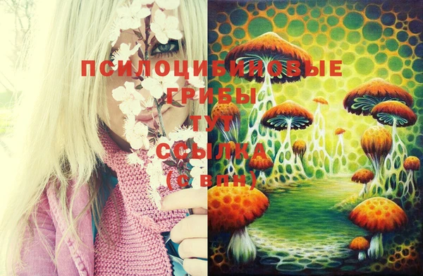 MDMA Premium VHQ Касимов