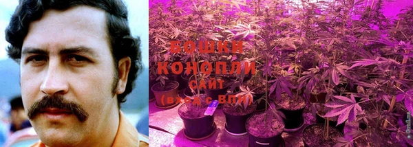 MDMA Premium VHQ Касимов