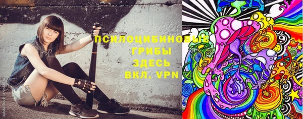 ГАЛЛЮЦИНОГЕННЫЕ ГРИБЫ Каменка