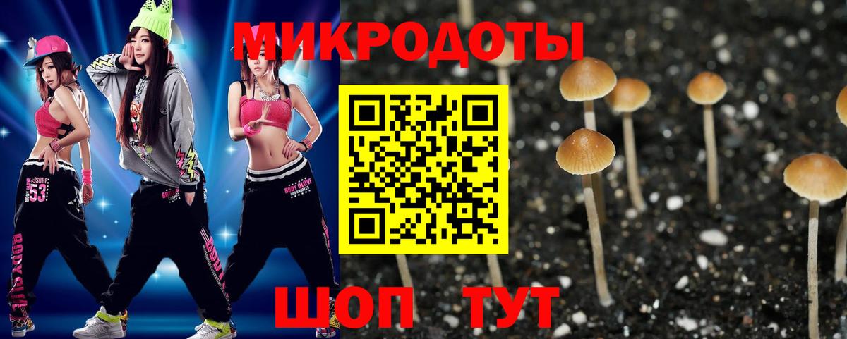Псилоцибиновые грибы Psilocybine cubensis  Галлюциногенные грибы MAGIC MUSHROOMS  Кимовск  Вход с VPN 